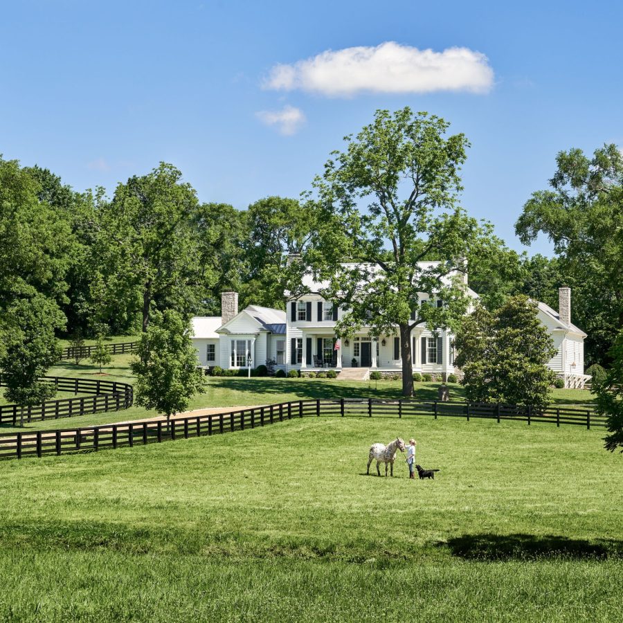 A large white house with chimneys sits among trees and rolling green fields, bordered by wooden fences. Two white horses and a dog stand in the grassy yard under a blue sky with a small white cloud.